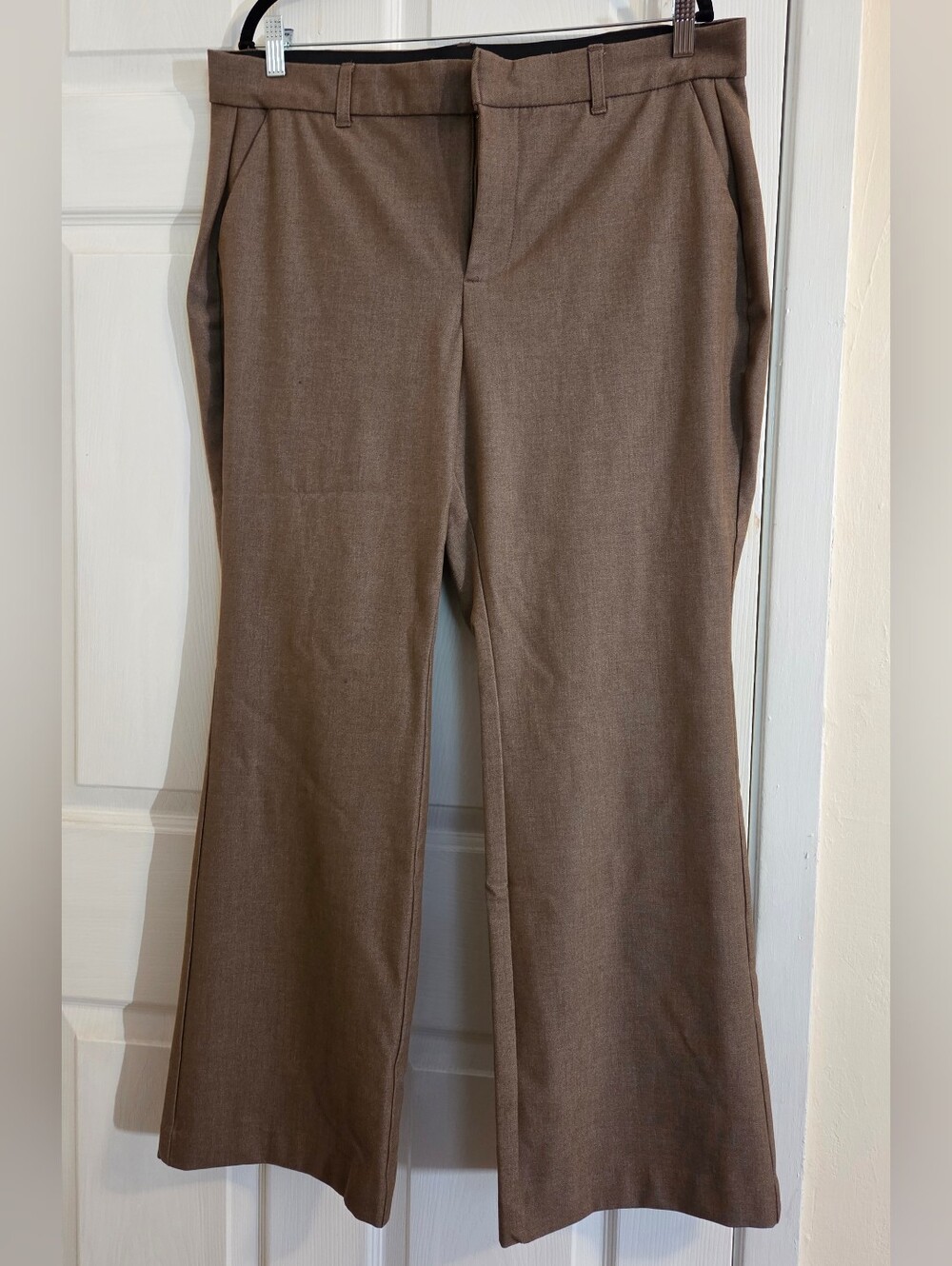 torrid Brown Boot-Cut Dress Pants